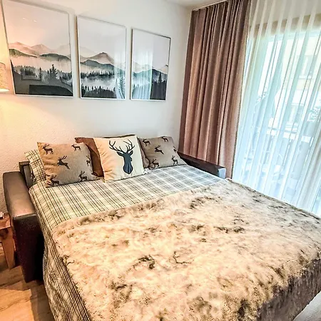 Appartement Snowfun B By Interhome Saas Fee
